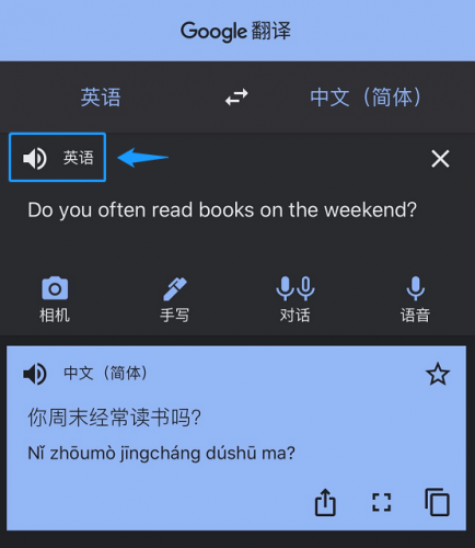 Google Translate screenshot