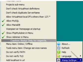 WampServer screenshot