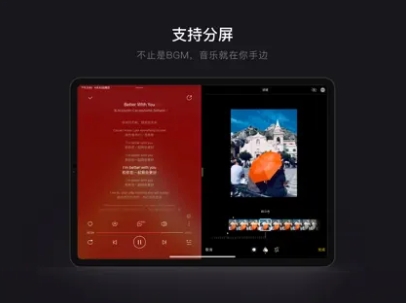 NetEase Cloud Music iPad version screenshots