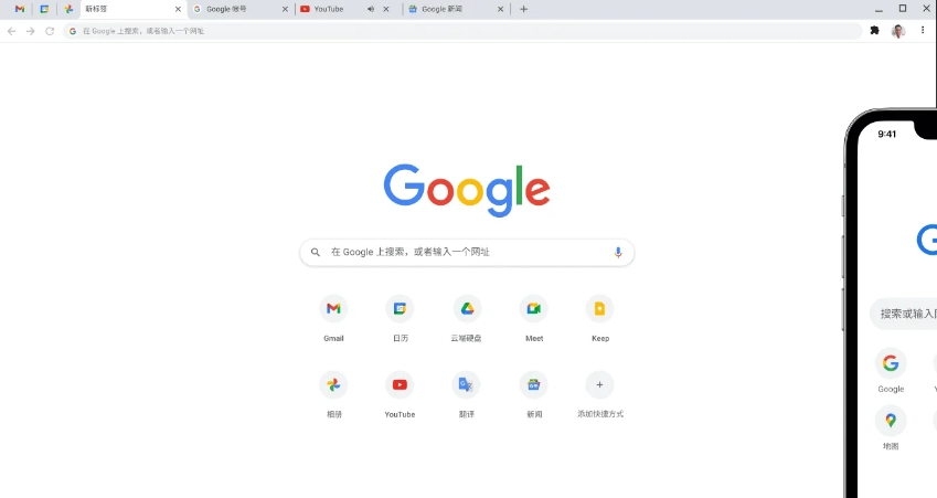 Screenshot of Google Browser