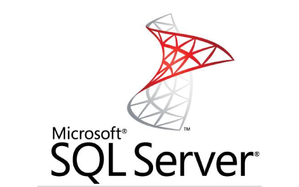 sqlserver2005 segment first LOGO