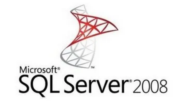 sql2008 paragraph first LOGO