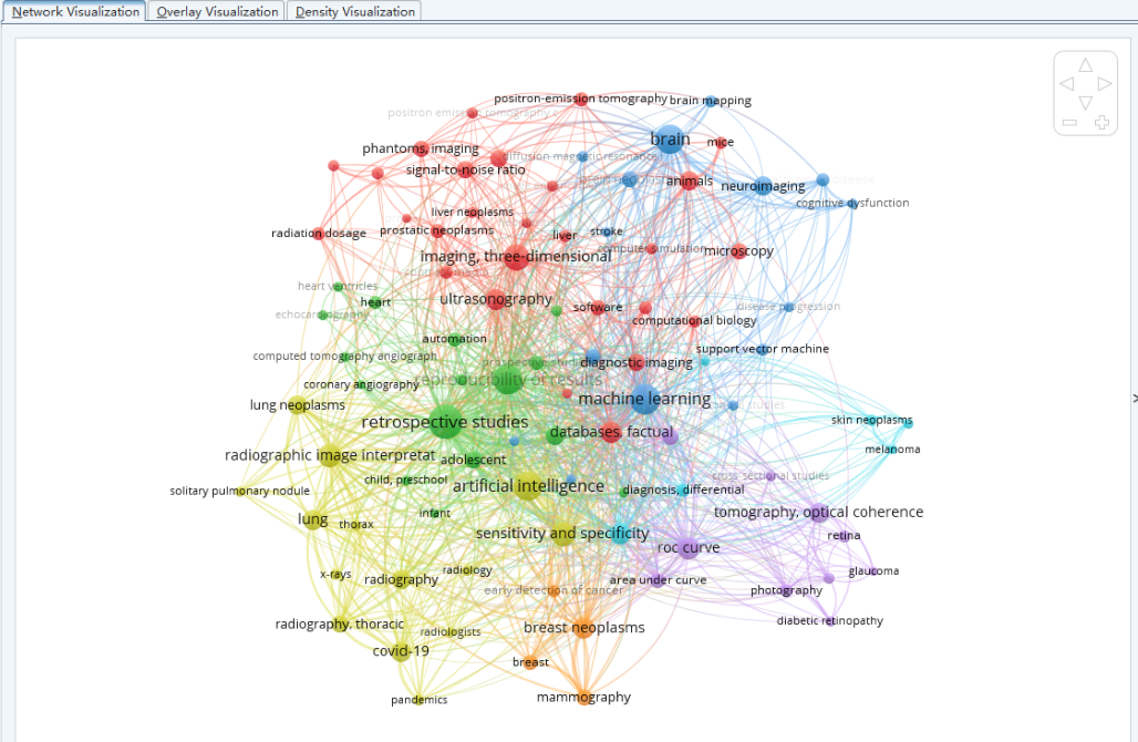 VOSviewer screenshot