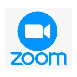 Zoom section head logo