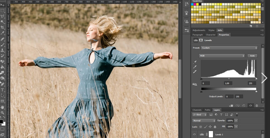 Photoshop cs6 online use