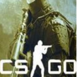 Counter -Strike Global Attack CS Chinese Version Logo