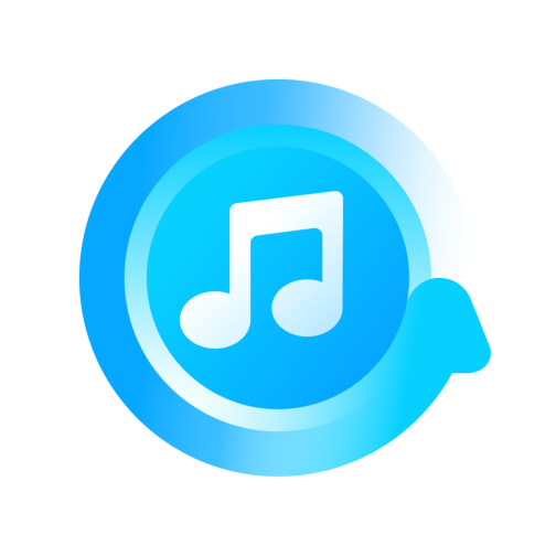 Flexible audio converter