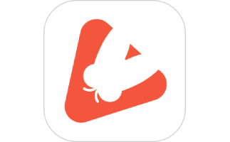 Cicada mother paragraph first LOGO