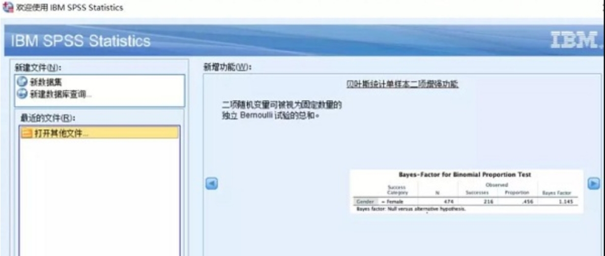 IBM SPSS Statistics screenshot