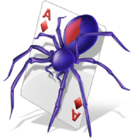 Spider card