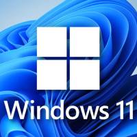 win11 pure version