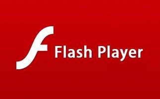 Adobe Flash Player section first LOGO