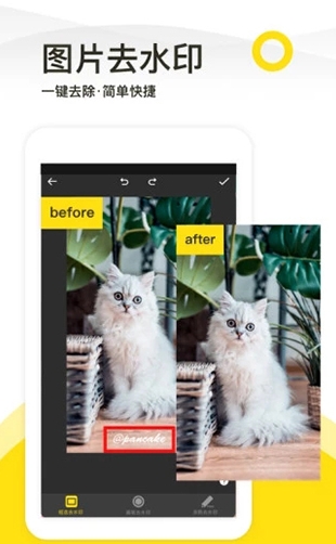 Remove watermarks from screenshots with one click