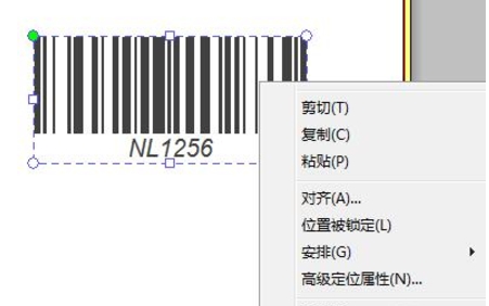 Screenshot of NiceLabel barcode label design software