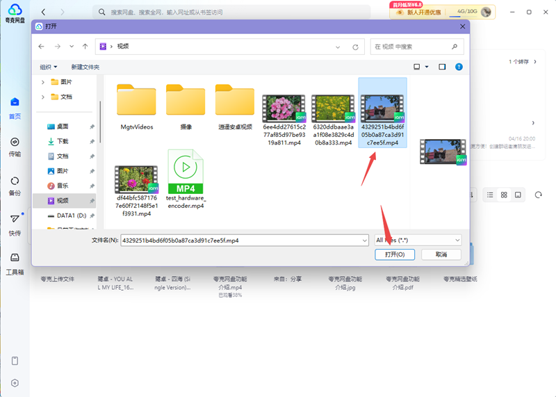 Quark network disk screenshot