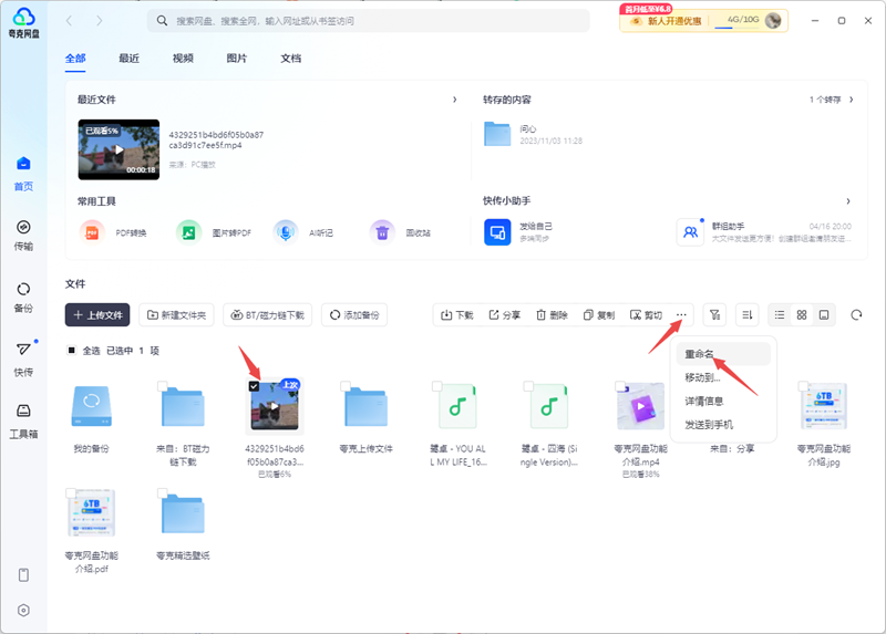 Quark network disk screenshot