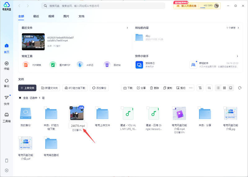Quark network disk screenshot