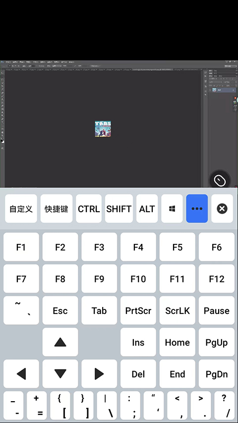 Sunflower remote control software download