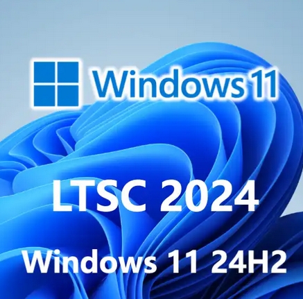 Windows 11 64-bit 24H2 Enterprise Edition LTSC (pure version)