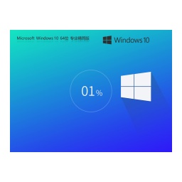 Windows10 22H2 64-bit Professional Lite Edition