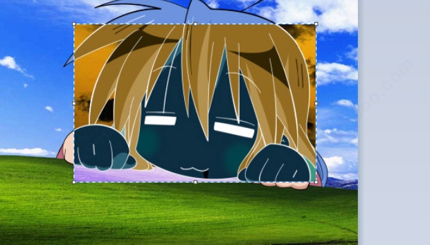 win10 drawing software download win10 drawing screenshot