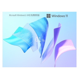 Windows11 22H2 64-bit Professional Education Edition