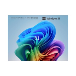 Windows11 24H2 26100.3915 X64 official version