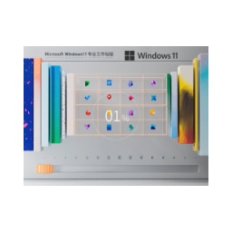 Windows11 22H2 64-bit Professional Workstation Edition