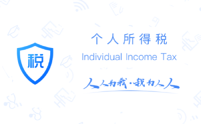 Personal income tax screenshot