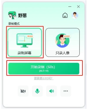 Wild onion screen capture