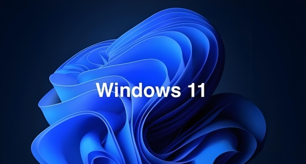 Windows 11 64-bit stable version screenshots