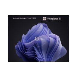 Windows11 23H2 64-bit