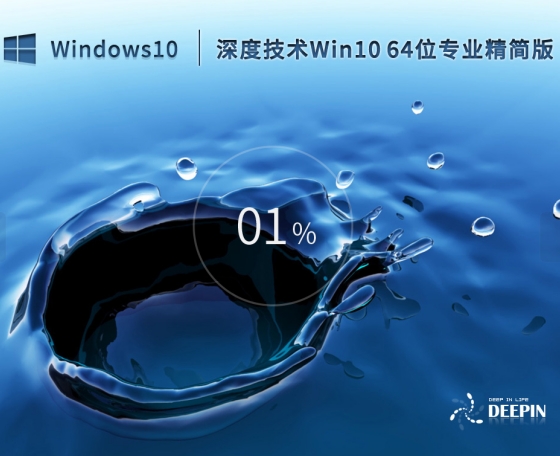 Windows 10 64-bit Professional Lite