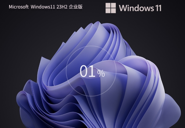 Windows11 23H2 64-bit screenshots