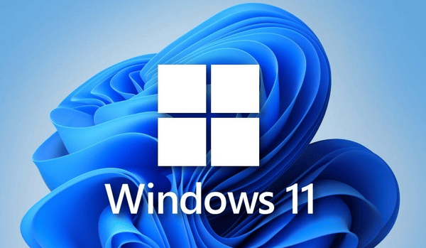 Windows11 24H2 26100.3476 X64 official version first LOGO