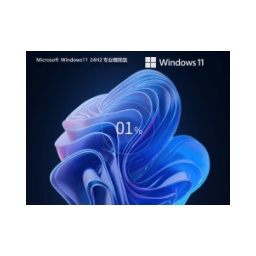 A small amount of streamlined Windows11 24H2 64-bit professional streamlined image