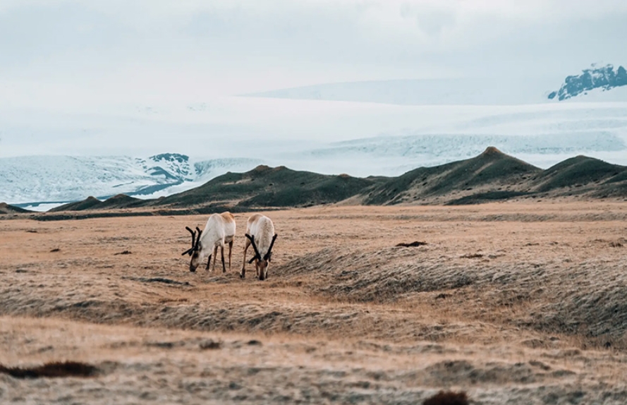 Screenshot of Windows 10 Enterprise Image Edition