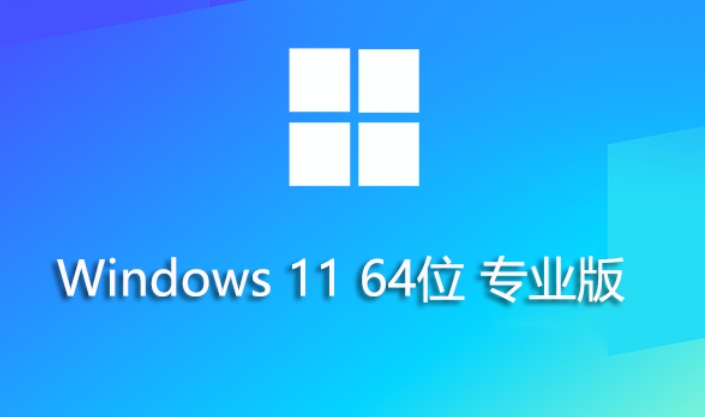 Screenshots of Windows 11 64-bit 23H2 Professional Pure Edition