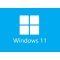 Windows 11 64-bit 24H2 Enterprise Edition LTSC (pure version)