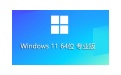 Windows 11 64-bit 23H2 Professional Edition (installed version) Section 1 Logo