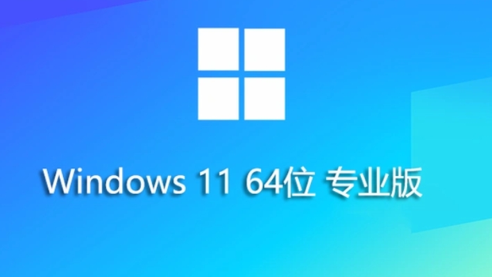 Windows 11 64-bit 23H2 Professional Edition (installed version) screenshots