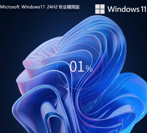 Windows11 24H2 64-bit Professional Lite Image