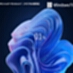 Windows11 24H2 64-bit Professional Lite Image