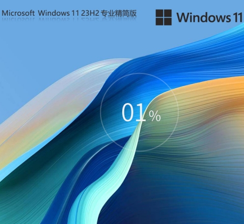 Win11 23H2 64-bit Professional Lite Edition TPM-free version