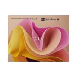Windows11 23H2 22631.5413 X64 Professional Edition