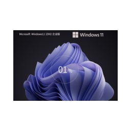 [The most secure Windows] Windows11 23H2 64-bit