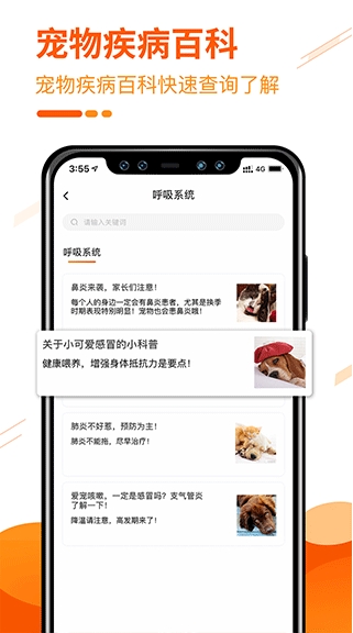 Screenshot of everyone’s favorite