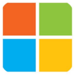 Microsoft input method