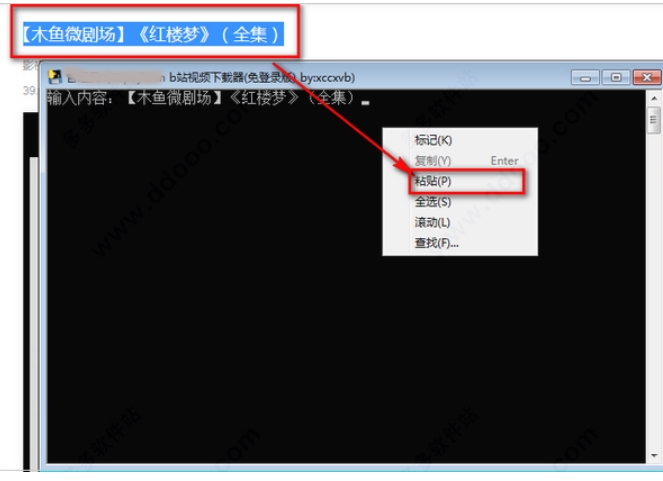 Screenshot of Bilibili video downloader