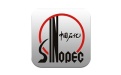 Sinopec remote access system segment first LOGO
